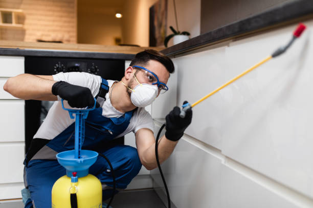 Best Exterminator Services  in Bardonia, NY
