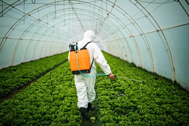 Best Emergency Pest Control  in Bardonia, NY