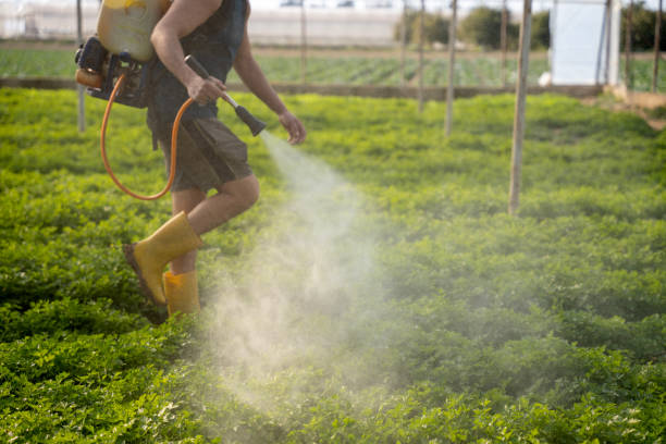 Best Best Pest Control Companies  in Bardonia, NY