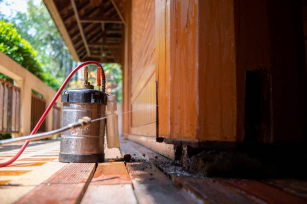 Best Termite Control Services  in Bardonia, NY