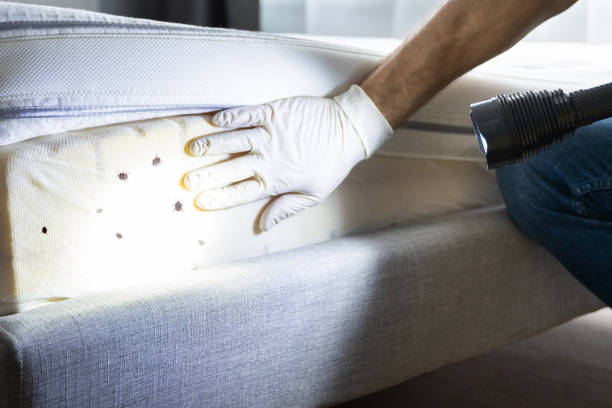 Best Residential Pest Control  in Bardonia, NY